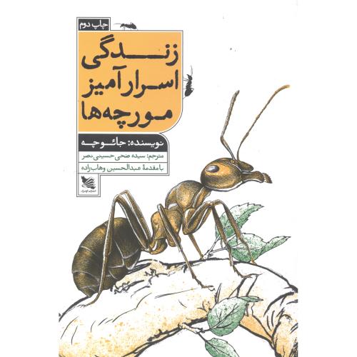 زندگی اسرارآمیز مورچه ها ، نصر، گوتنبرگ
